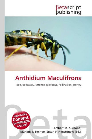 Anthidium Maculifrons