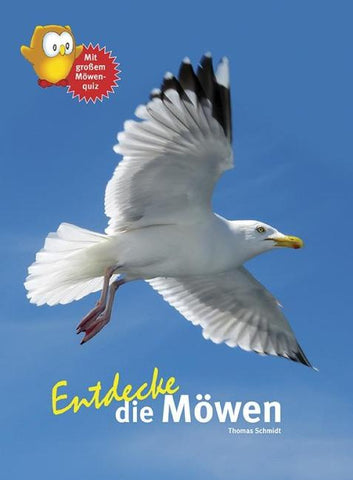 Entdecke die Möwen