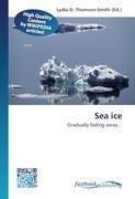Sea ice