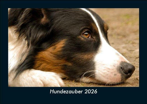 Hundezauber 2026 Fotokalender DIN A5