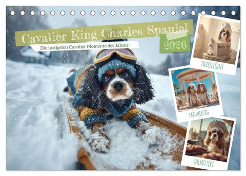 Cavalier King Charles Spaniel. Die lustigsten Cavalier Momente des Jahres. (Tischkalender 2026 DIN A5 quer), CALVENDO Monatskalender