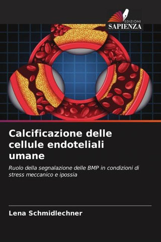 Calcificazione delle cellule endoteliali umane