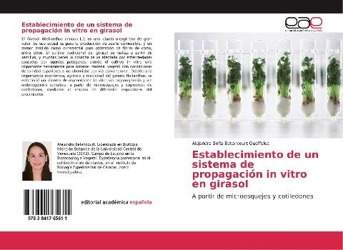 Establecimiento de un sistema de propagación in vitro en girasol