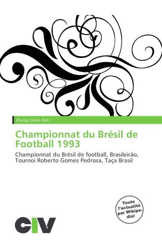 Championnat du Brésil de Football 1993