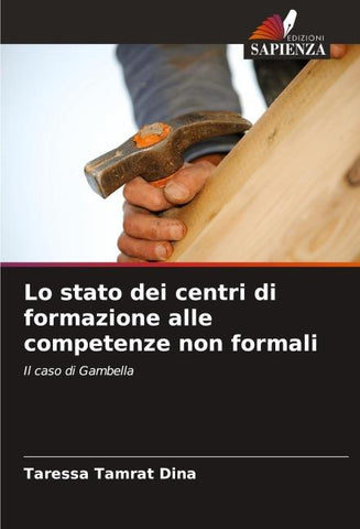 Lo stato dei centri di formazione alle competenze non formali