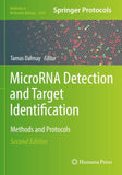 MicroRNA Detection and Target Identification
