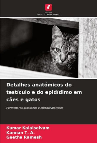 Detalhes anatómicos do testículo e do epidídimo em cães e gatos