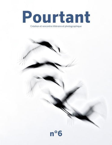 Pourtant n°6