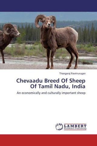 Chevaadu Breed Of Sheep Of Tamil Nadu, India