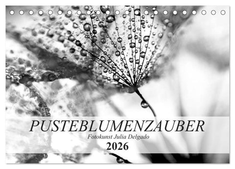 Pusteblumenzauber in schwarzweiß (Tischkalender 2026 DIN A5 quer), CALVENDO Monatskalender