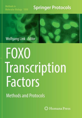 FOXO Transcription Factors