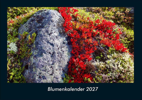 Blumenkalender 2027 Fotokalender DIN A4
