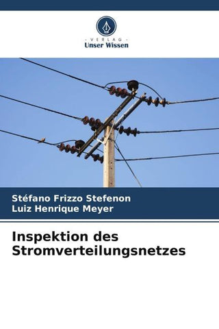 Inspektion des Stromverteilungsnetzes