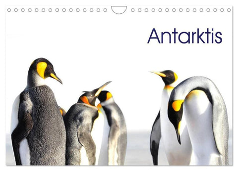 Antarktis - viaje.ch (Wandkalender 2026 DIN A4 quer), CALVENDO Monatskalender