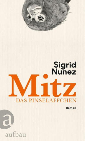 Mitz, das Pinseläffchen