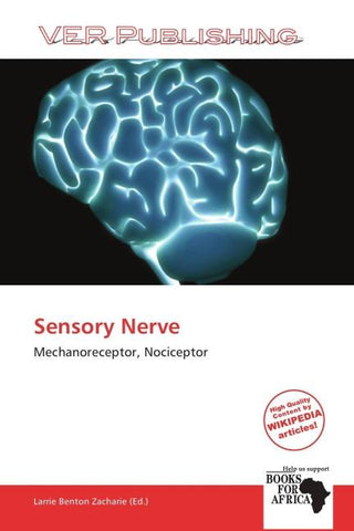 Sensory Nerve