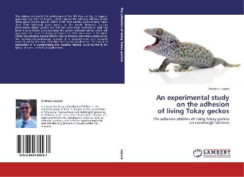 An experimental study  on the adhesion  of living Tokay geckos