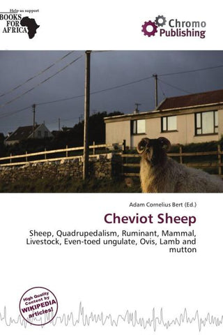 Cheviot Sheep