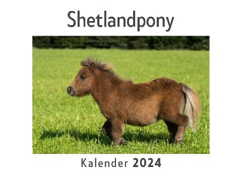 Shetlandpony (Wandkalender 2024, Kalender DIN A4 quer, Monatskalender im Querformat mit Kalendarium, Das perfekte Geschenk)