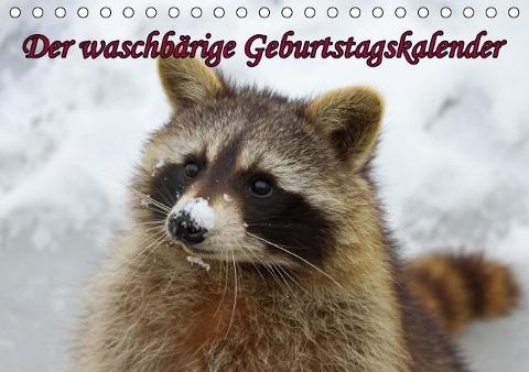 Waschbären / Geburtstagskalender (Tischkalender immerwährend DIN A5 quer)