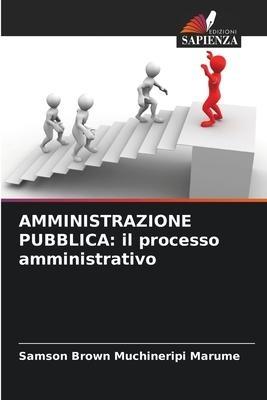 AMMINISTRAZIONE PUBBLICA: il processo amministrativo