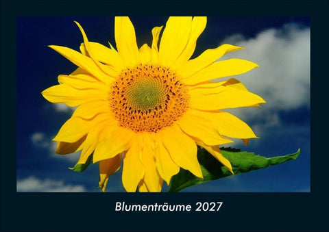 Blumenträume 2027 Fotokalender DIN A4
