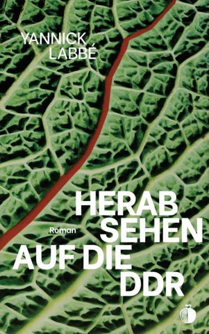 Herabsehen auf die DDR