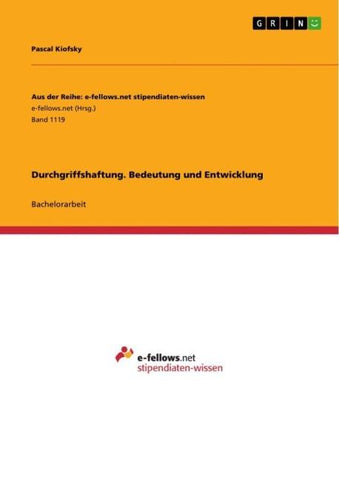 Durchgriffshaftung. Bedeutung und Entwicklung