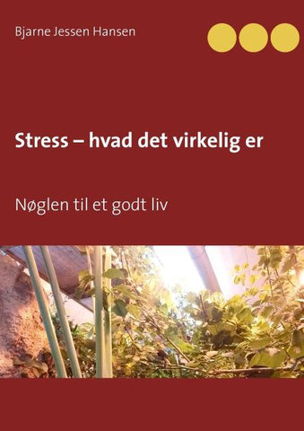 Stress - hvad det virkelig er