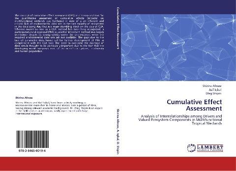 Cumulative Effect Assessment