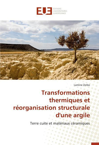 Transformations thermiques et réorganisation structurale d'une argile