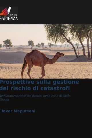 Prospettive sulla gestione del rischio di catastrofi