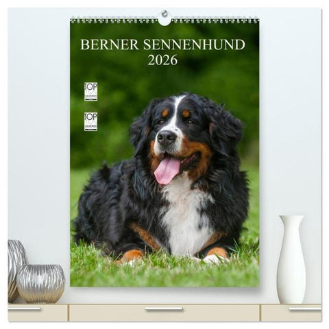 Berner Sennenhund 2026 (hochwertiger Premium Wandkalender 2026 DIN A2 hoch), Kunstdruck in Hochglanz