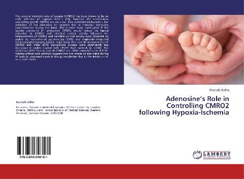 Adenosine's Role in Controlling CMRO2 following Hypoxia-Ischemia