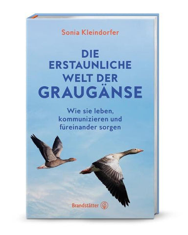 Die erstaunliche Welt der Graugänse