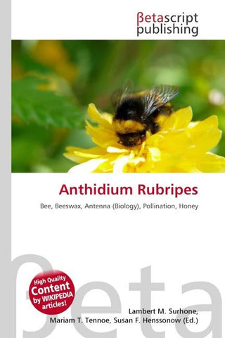 Anthidium Rubripes