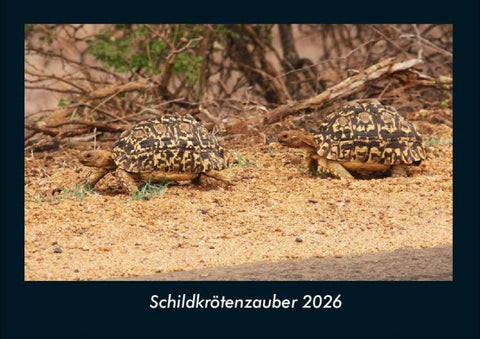 Schildkrötenzauber 2026 Fotokalender DIN A4