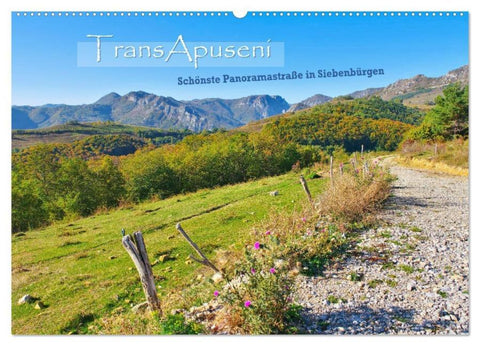 TransApuseni - Schönste Panoramastraße in Siebenbürgen (Wandkalender 2026 DIN A2 quer), CALVENDO Monatskalender