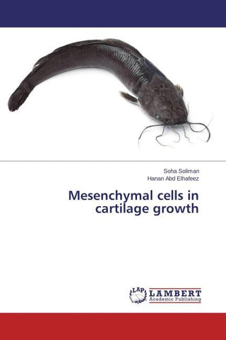 Mesenchymal cells in cartilage growth