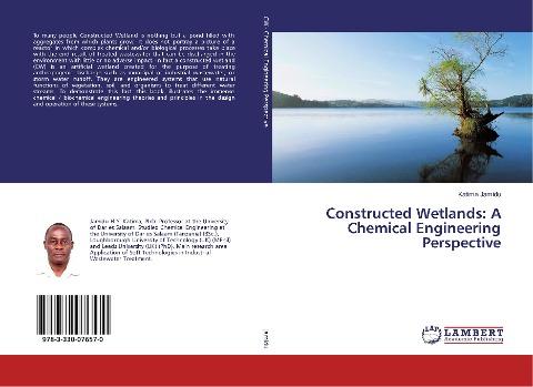 Constructed Wetlands: A Chemical Engineering Perspective