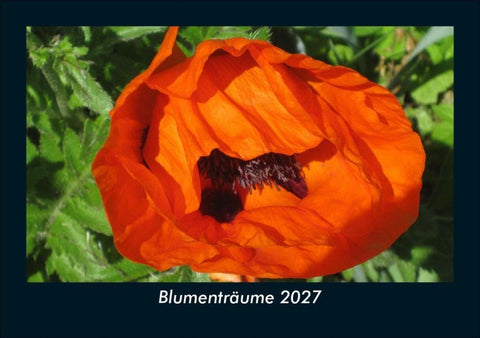 Blumenträume 2027 Fotokalender DIN A5