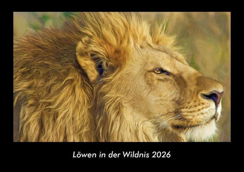 Löwen in der Wildnis 2026 Fotokalender DIN A3