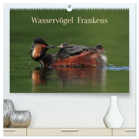 Wasservögel Frankens (hochwertiger Premium Wandkalender 2026 DIN A2 quer), Kunstdruck in Hochglanz