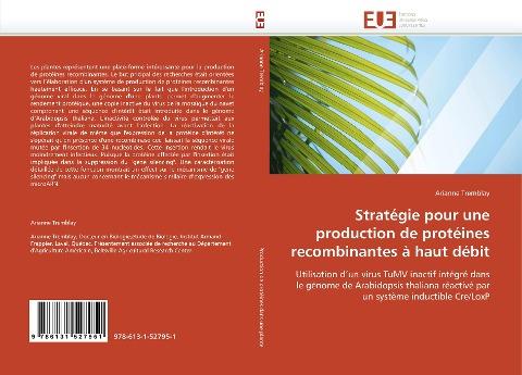 Stratégie pour une production de protéines recombinantes à haut débit