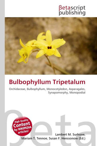 Bulbophyllum Tripetalum