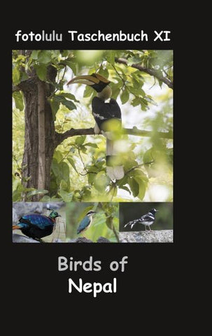 Birds of Nepal