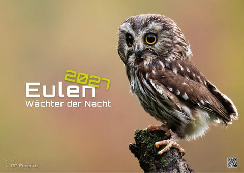 Eulen - Wächter der Nacht - 2027 - Kalender DIN A3