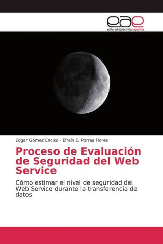 Proceso de Evaluación de Seguridad del Web Service