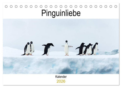 Pinguinliebe (Tischkalender 2026 DIN A5 quer), CALVENDO Monatskalender