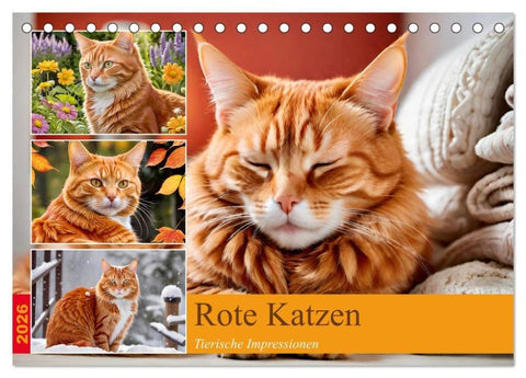Rote Katzen (Tischkalender 2026 DIN A5 quer), CALVENDO Monatskalender